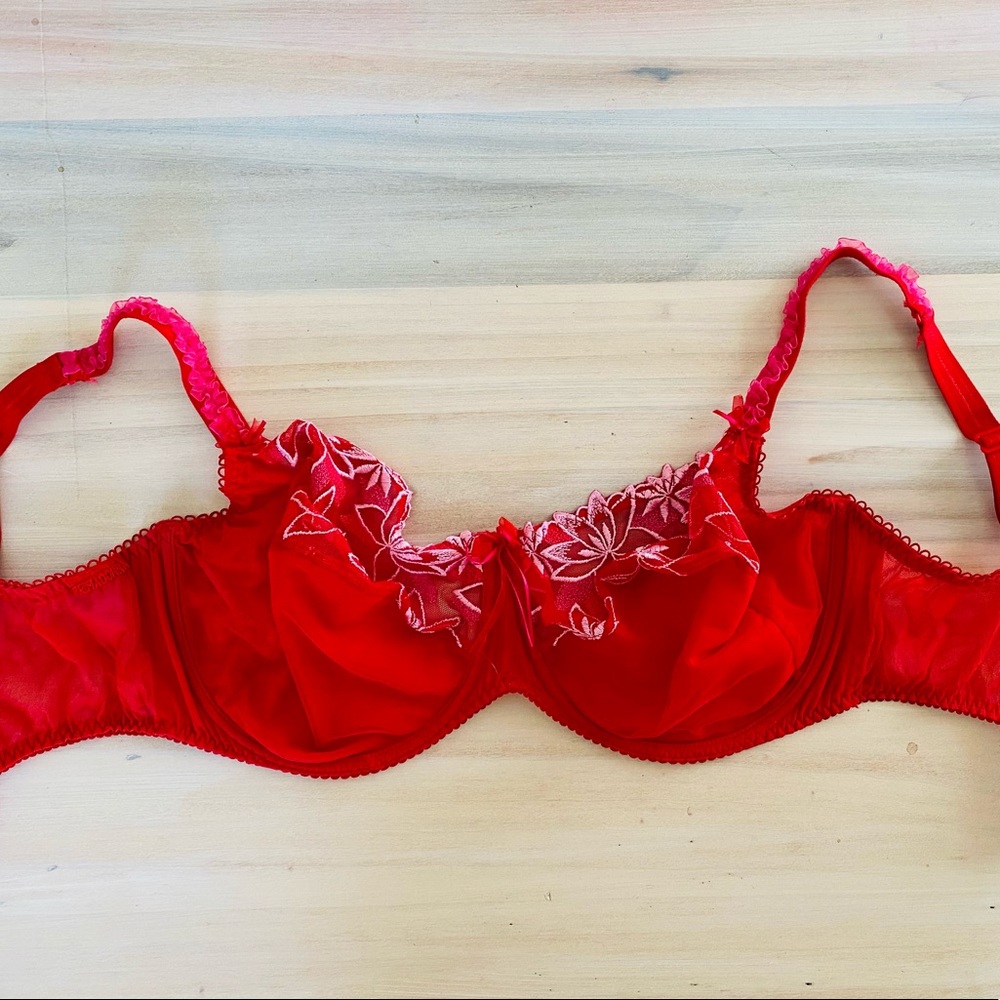 Prima Donna 38F Red and Pink lace bra NWOT
